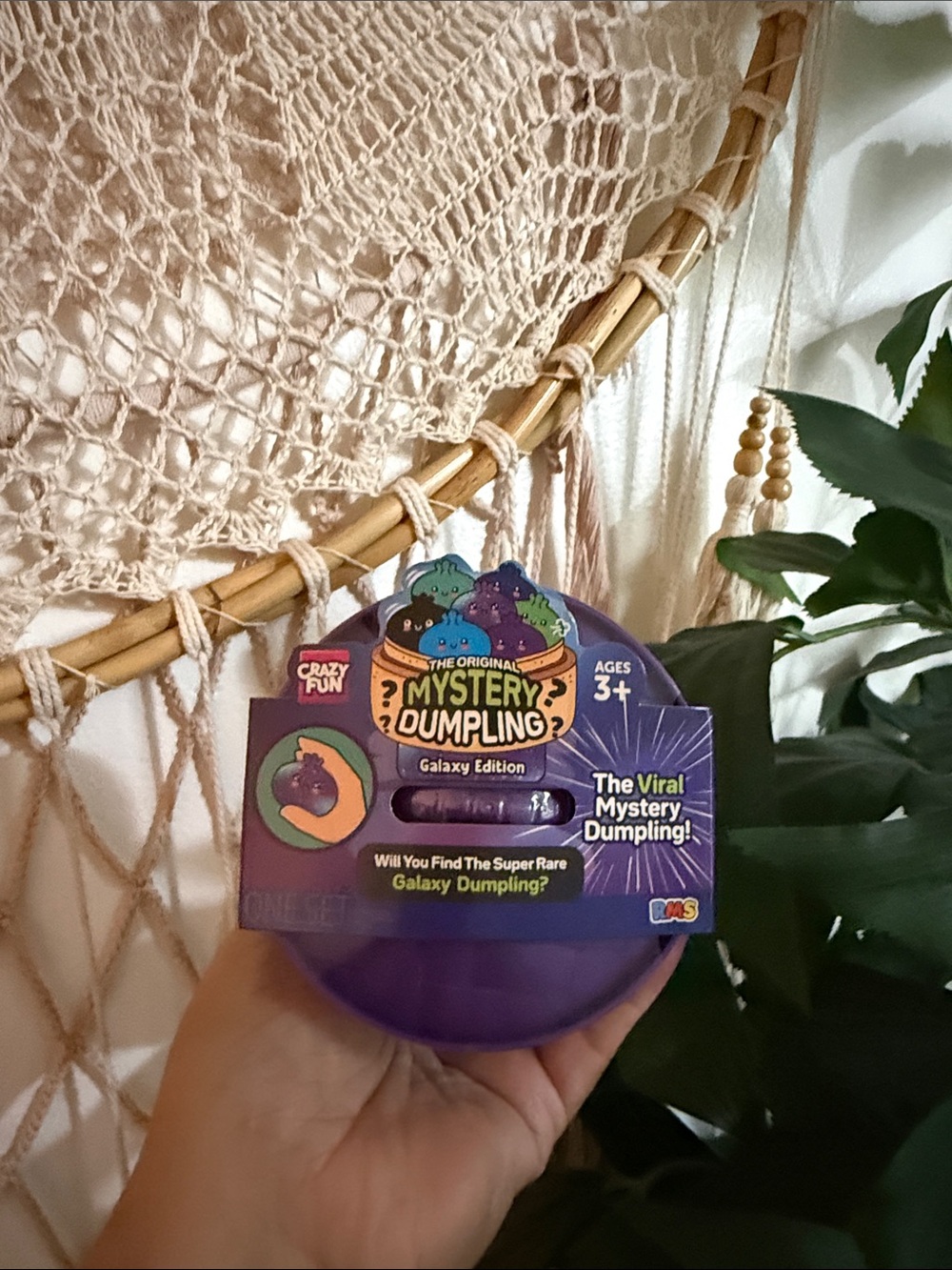 💜💜Mystery Dumpling Galaxy Edition